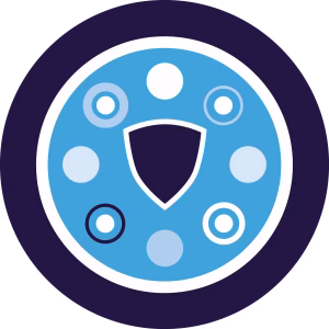 CyberGovernance3 60 - Icona PERIMETRALS